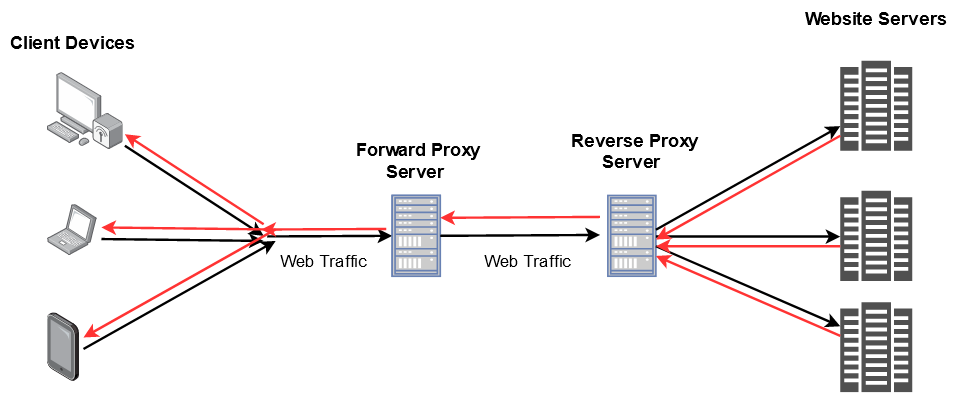 Reverse Proxy Description